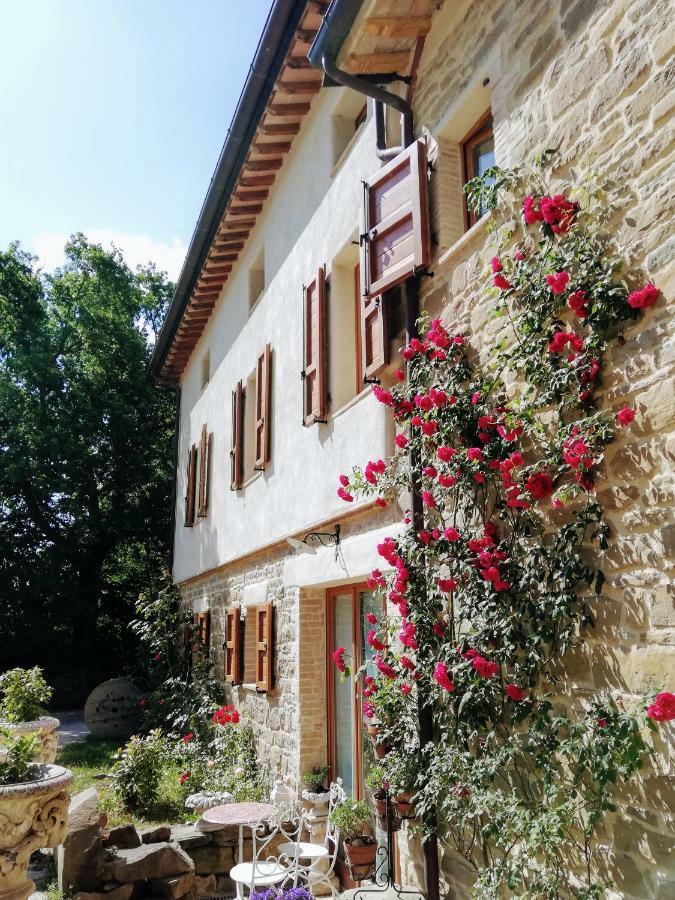 Le Ginestre Guesthouse Assisi Exterior photo